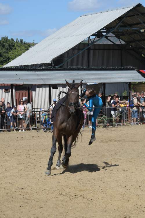 DSC_8412